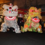 DSC04951